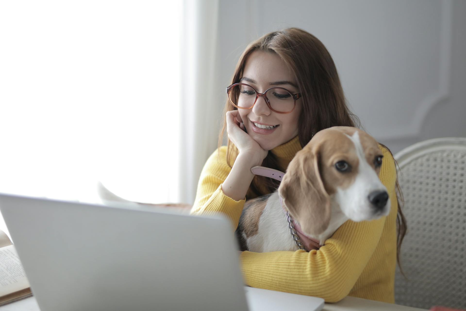 Excellent website copy for online pet stores and pet supply websites