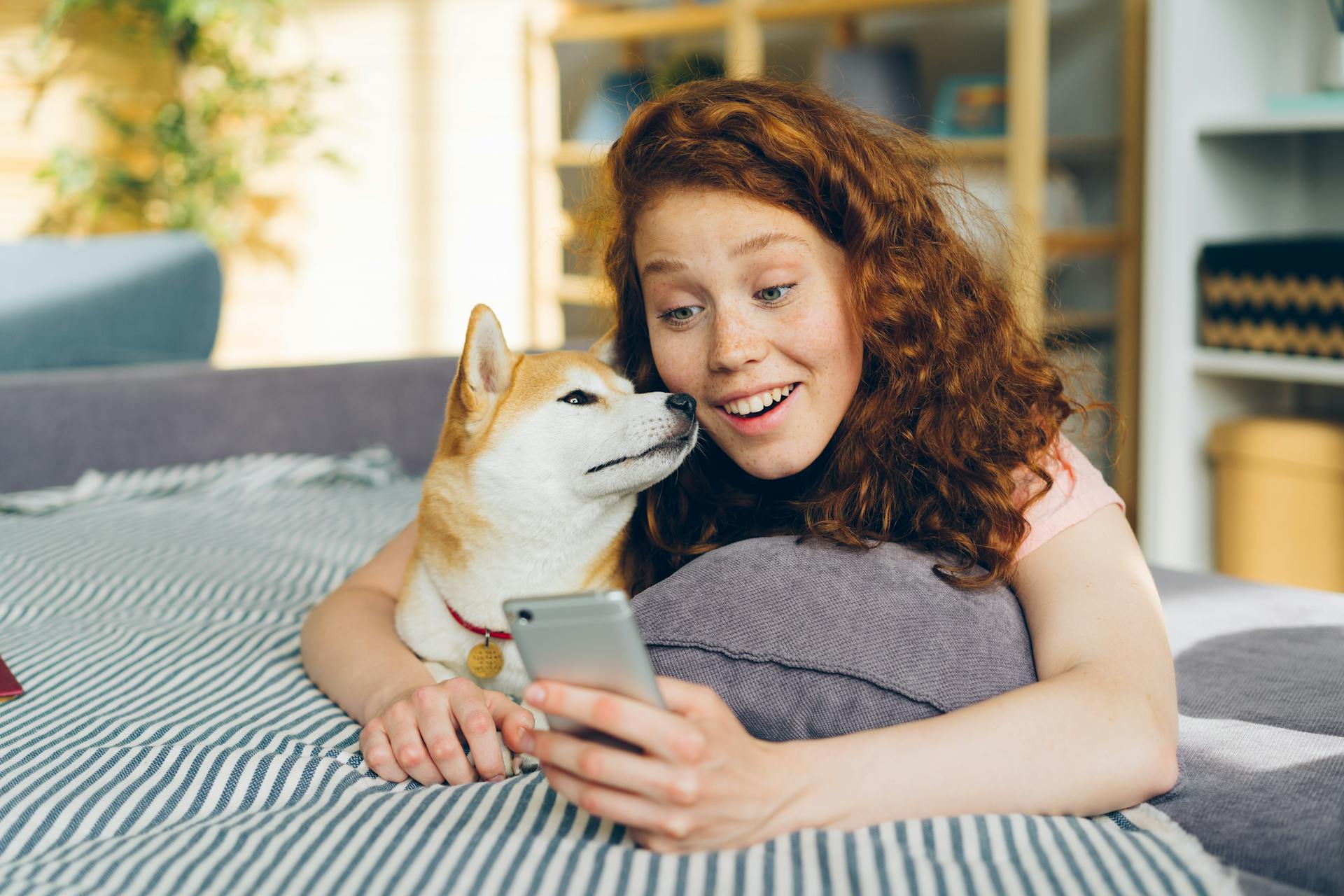 Write high-selling copies on your pet social media and your social media for veterinarians